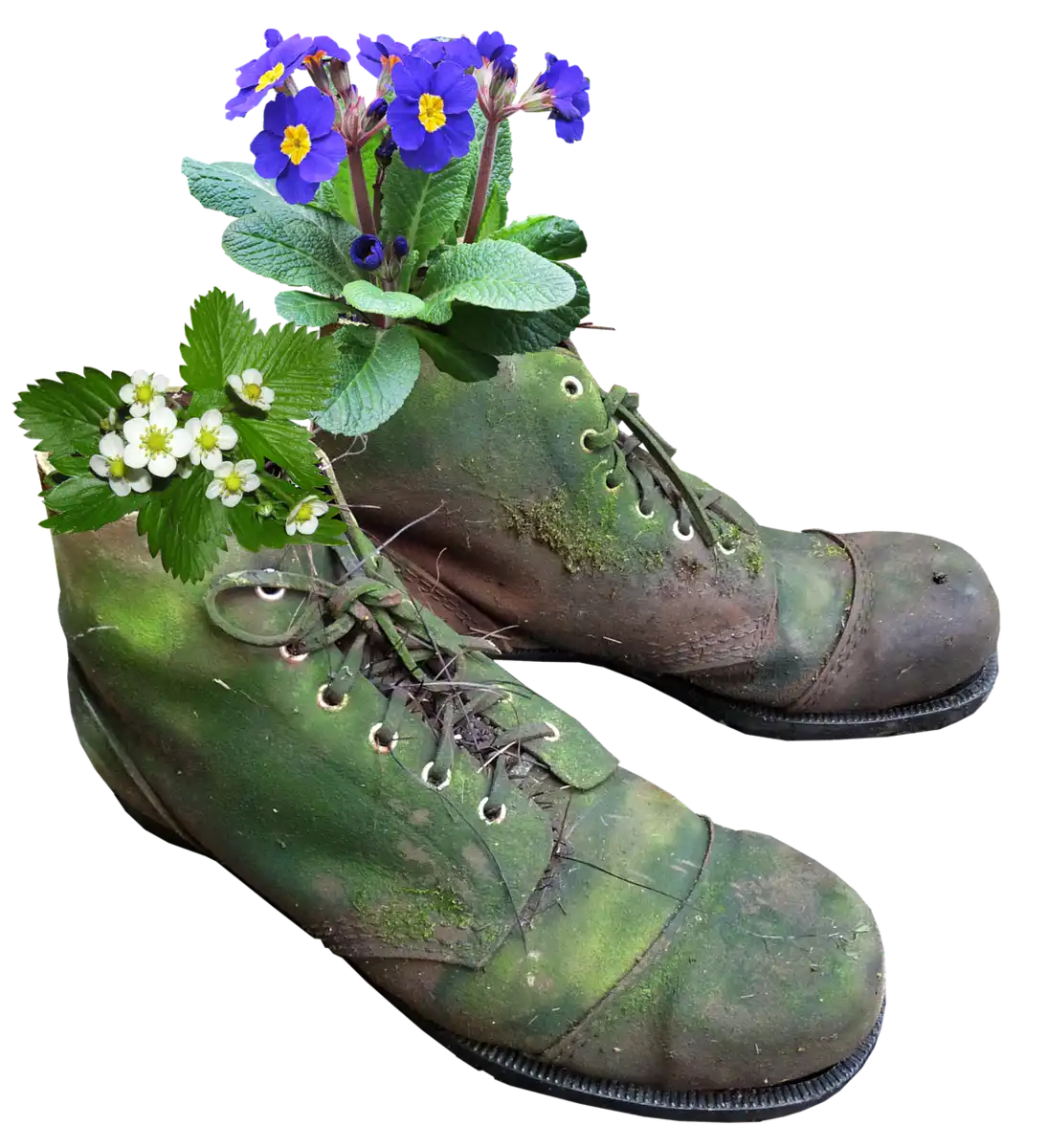 bottes