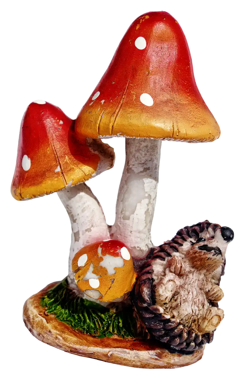champignons