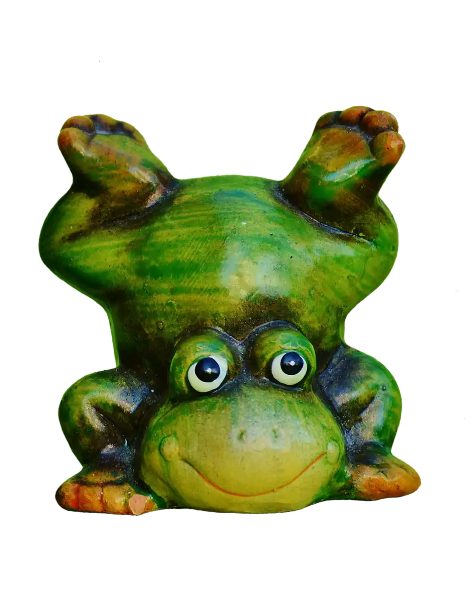 grenouille à l'envers