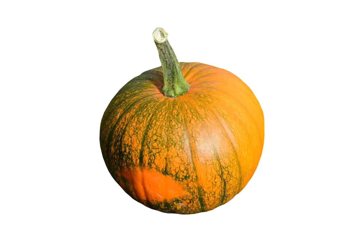 potiron